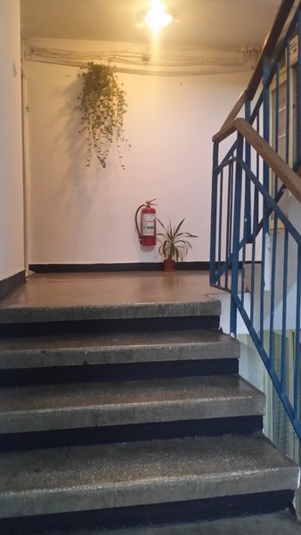 Electronicii, sect. 2, pt. doamna 45-65 ani,